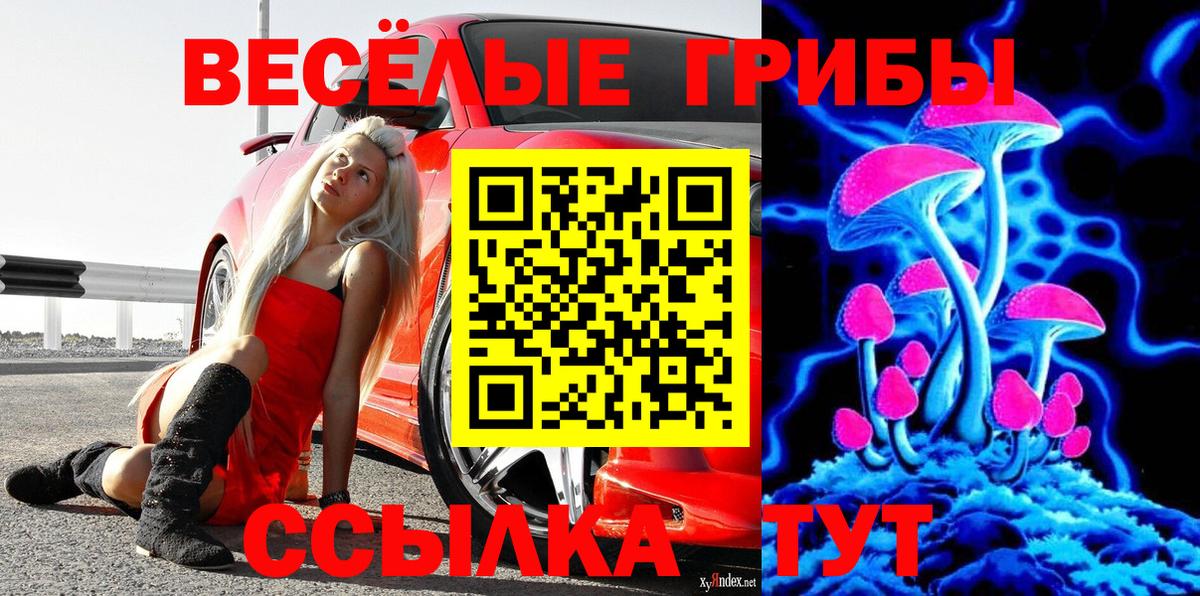 Галлюциногенные грибы Psilocybine cubensis  Вход с VPN  Чайковский  Галлюциногенные грибы MAGIC MUSHROOMS 