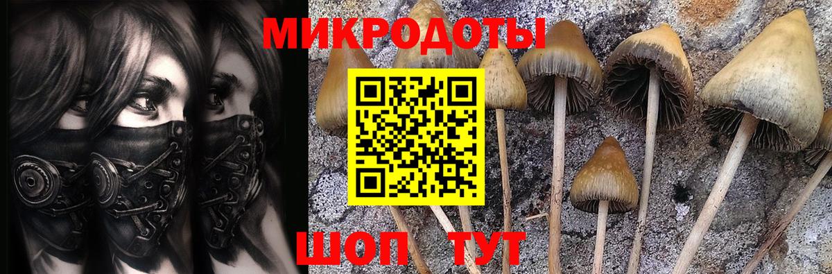 Псилоцибиновые грибы Magic Shrooms Чайковский